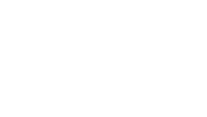 divi