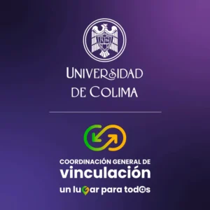 Perfil-redes-sociales